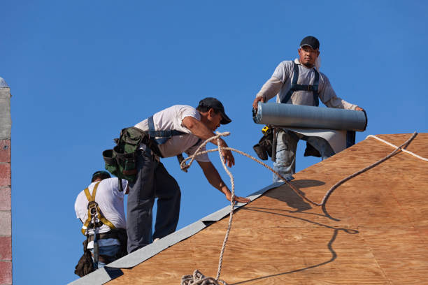 Best Emergency Roof Repair  in La Grange, NC