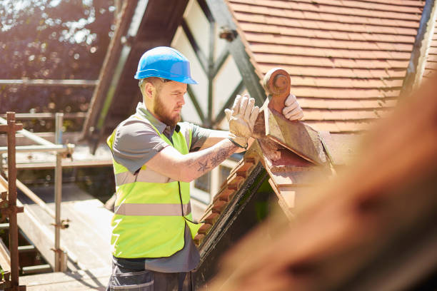 Best Roof Gutter Cleaning  in La Grange, NC